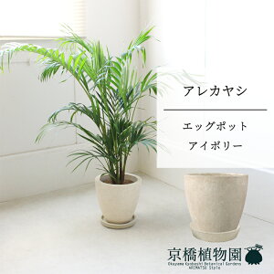 y5P5{IzySSN[|zyGbO|bgFAC{[zAJV@y~hTCY/u/j/Vzj/Ă₷/ϗtA/V/zCg/zy^z