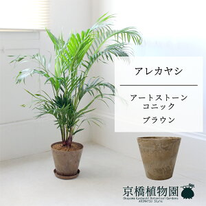 y5P5{IzySSN[|zySSizyA[gXg[@RjbN@uEzAJV@7@6Gy~hTCY/u/j/Vzj/Ă₷/ϗtA/V/uE/z