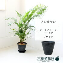楽天市場】ココヤシ7号の通販