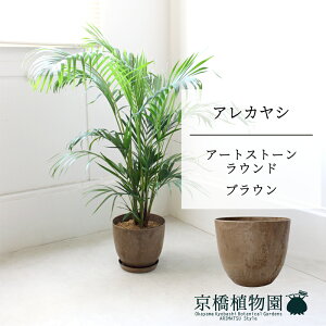 y5P5{IzySSN[|zySSizyA[gXg[@Eh@uEzAJV@7@6Gy~hTCY/u/j/Vzj/Ă₷/ϗtA/V/uE/z