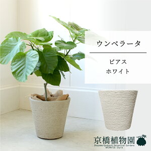 �y�r�A�X���J�o�[�F�z���C�g�z�E���x���[�^�@7���y�~�h���T�C�Y/���u��/��j/�V�z�j��/��Ă₷��/�ϗt�A��/�n�[�g���[�t/�n�[�g�^/�z���C�g/���z�y��^�z