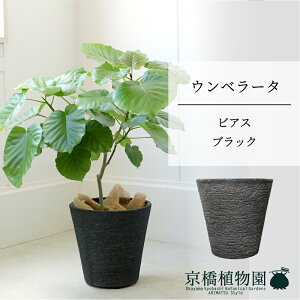 y5P5{IzySSN[|zyrAXJo[FubNzEx[^@7y~hTCY/u/j/Vzj/Ă₷/ϗtA/n[g[t/n[g^/ubN/zy^