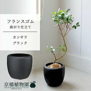 y30P5{Izy}\N[|LzyJTJo[FubNztXS@Ȃ@7y~hTCY/u/j/Vzj/Ă₷/ϗtA/SmL/ubN/zy