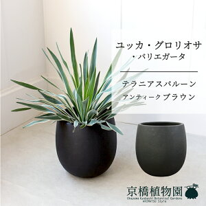 ySSN[|zyo[Jo[FAeB[NuEzbJEOITEoGK[^@7y~hTCY/u/j/Vzj/ϗtAzy^z