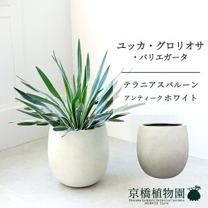 ySSN[|zyo[Jo[FAeB[NzCgzbJEOITEoGK[^@7y~hTCY/u/j/Vzj/ϗtAzy^z