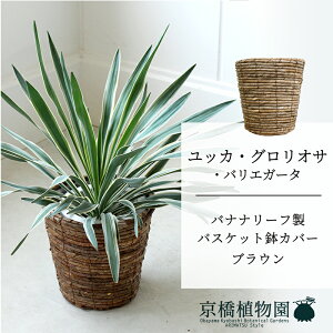 y5P5{IzySSN[|zyoXPbgJo[FuEzbJEOITEoGK[^@7y~hTCY/u/j/Vzj/ϗtAzy^z