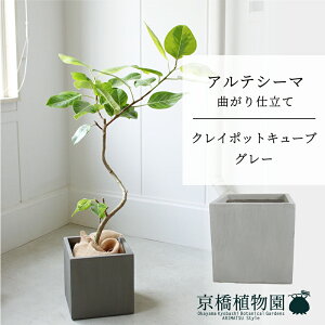 y5P5{IzySSN[|zyNC|bgL[uJo[FO[ztBJXEAeV[}@Ȃ@7y~hTCY/u/j/Vzj/ϗtAzy^z