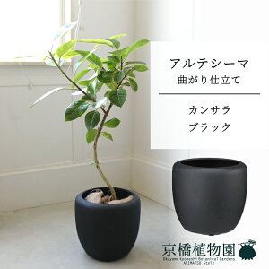 y5P5{IzySSN[|zyJTJo[FubNztBJXEAeV[}@Ȃ@7y~hTCY/u/j/Vzj/ϗtAzy^z