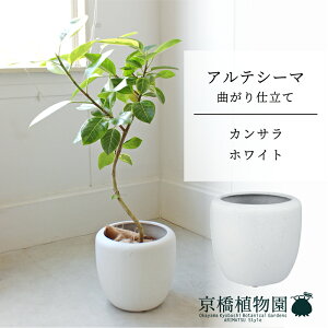 y5P5{IzySSN[|zyJTJo[FzCgztBJXEAeV[}@Ȃ@7y~hTCY/u/j/Vzj/ϗtAzy^z