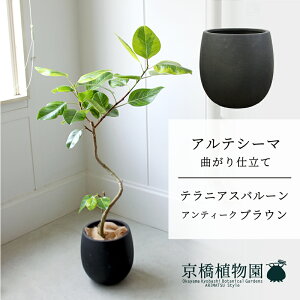 y1P7{Izyo[Jo[FAeB[NuEztBJXEAeV[}@Ȃ@7y~hTCY/u/j/Vzj/ϗtAzy^z