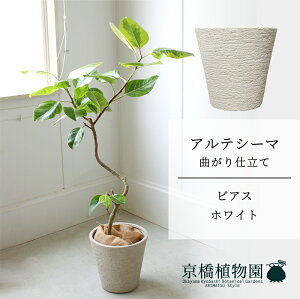 y1P7{IzyrAXJo[FzCgztBJXEAeV[}@Ȃ@7y~hTCY/u/j/Vzj/ϗtAzy^z