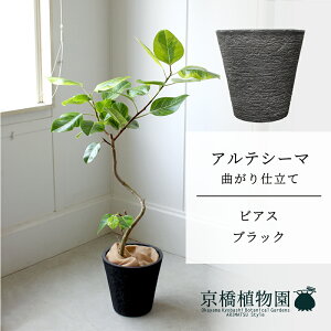 ySSN[|zyrAXJo[FubNztBJXEAeV[}@Ȃ@7y~hTCY/u/j/Vzj/ϗtAzy^z