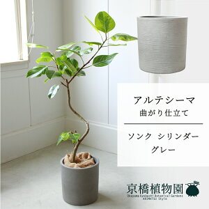 y30P5{Izy\NV_[FEH[O[ztBJXEAeV[}@Ȃ@7y~hTCY/u/j/Vzj/ϗtAzy^z