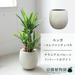 ySSN[|zyo[Jo[FAeB[NzCgzbJEGt@eByX@7y~hTCY/u/j/Vzj/ϗtA/zy^z