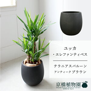 ySSN[|zyo[Jo[FAeB[NuEzbJEGt@eByX@7y~hTCY/u/j/Vzj/ϗtA/zy^z