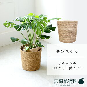 ySSN[|zyi`oXPbgJo[zXe@8y~hTCY/u/j/Vzj/ϗtAzy^z