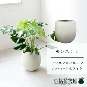 ySSN[|zyo[Jo[FAeB[NzCgzXe@8y~hTCY/u/j/Vzj/ϗtAzy^z