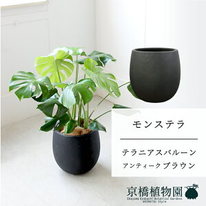 ySSN[|zySSizyo[Jo[FAeB[NuEzXe@8y~hTCY/u/j/Vzj/ϗtAzy^z