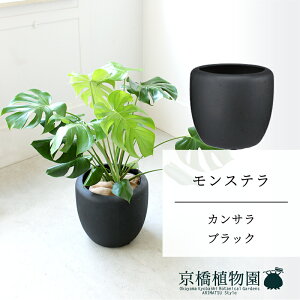 ySSN[|zyJTJo[FubNzXe@8y~hTCY/u/j/Vzj/ϗtAzy^z