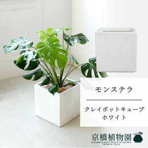 y5P5{IzySSN[|zySSizyNC|bgL[uJo[FzCgzXe@8y~hTCY/u/j/Vzj/ϗtAzy^z