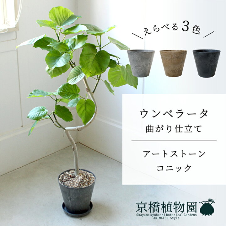 楽天市場】【マラソンクーポン有！】【アートストーン コニック 