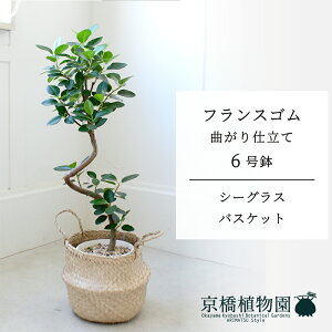 y10P5{IzySSN[|zyV[OXoXPbgztXS@Ȃ@6y󂯎Mtzy~hTCY/u/j/Vzj/Ă₷/ϗtA/zy^z