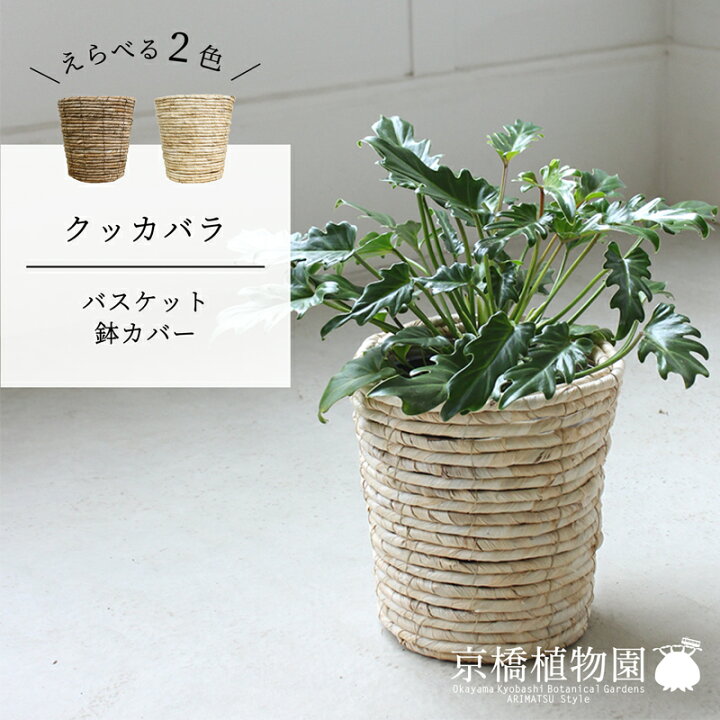 楽天市場】【SSクーポンあり】【バスケット鉢カバー】クッカバラ 6号 