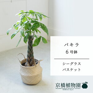 y10P5{IzySSN[|zyV[OXoXPbgzpL@6y󂯎Mtzy~hTCY/u/j/Vzj/Ă₷/ϗtA/zy^z