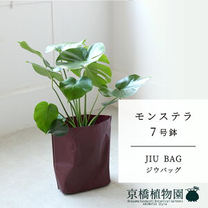 y5P5{IzySSN[|zyJIU BAGiWEobOjzXe@7y󂯎Mtzy~hTCY/u/j/Vzj/Ă₷/ϗtA/zy^z