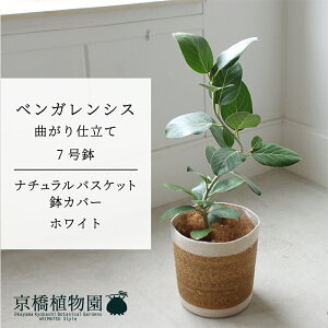 y1P7{zyi`oXPbgEzCgztBJXExKVX@I[h[@7y󂯎Mtzy~hTCY/CeA/j/JXj/zj/Vzj/Mtg/v[