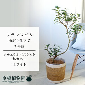 y1P7{zyi`oXPbgEzCgztXS@Ȃ@7y󂯎Mtzy~hTCY/CeA/j/JXj/zj/Vzj/Mtg/v[g/Ă₷/