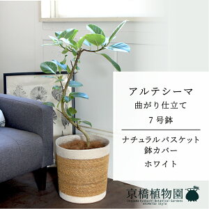 y30P5{Izyi`oXPbgEzCgztBJXEAeV[}@7@Ȃy󂯎Mtzy~hTCY/CeA/j/JXj/zj/Vzj/Mtg/v[g/