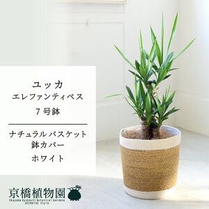 y5P5{IzySSN[|zyi`oXPbgEzCgzbJEGt@eByX@7y󂯎Mtzy~hTCY/CeA/j/JXj/zj/Vzj/Mt