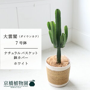 y5P5{IzySSN[|zySSizyi`oXPbgEzCgz_ti_CEJNj@7y󂯎Mtzy~hTCY/CeA/j/JXj/zj/Vzj