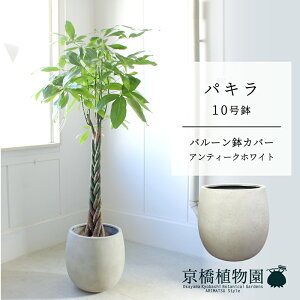 yo[Jo[t/AeB[NzCgzpL@10y󂯎Mtzy[WTCYz