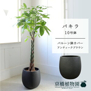 yo[Jo[t/AeB[NuEzpL@10y󂯎Mtzy[WTCYz