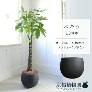 y[o[Jo[/AeB[NuEzpL@10y󂯎MtzyN̖؁zy[WTCYz