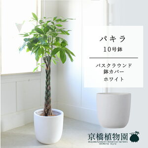 yoXNEhJo[/zCgzpL@10y󂯎Mtzy[WTCYz