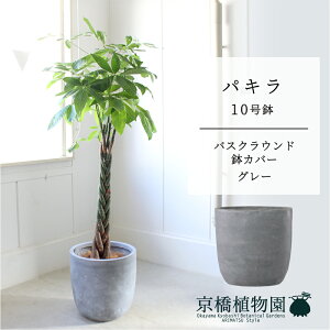 yoXNEhJo[/O[zpL@10y󂯎Mtzy[WTCYz