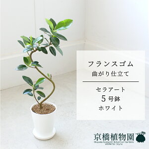 yZA[g^zCgztXS@Ȃ@5y󂯎MtzyX[TCY tBJX ϗtA A u _ CeA  lC zj JXj Vzj ]