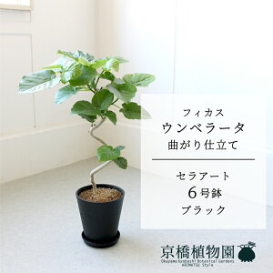 y30P5{IzyZA[g^ubNztBJX@Ex[^@Ȃ@6@E6Gy󂯎Mtzy~hTCY ϗtA _ CeA  lC zj JXj Vz