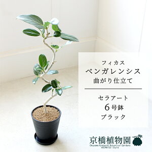 yZA[g^ubNztBJX@xKVX@6@E6Gy󂯎Mtzy~hTCY ϗtA CeA  lC zj JXj Vzj j yV ʔ A 