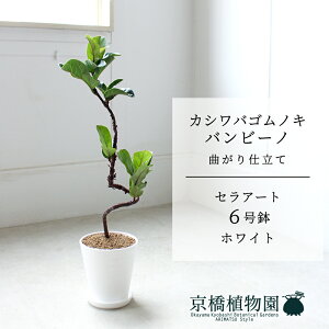 y30P5{IzyZA[g^zCgzJVoSmLtBJXE[^)or[m@Ȃ @6y󂯎Mtzy~hTCY ϗtA CeA  lC zj 