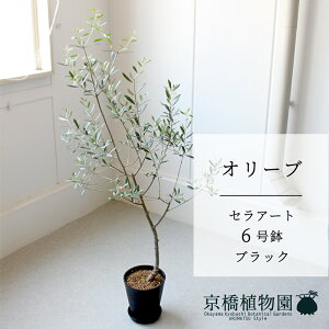 y5P5{IzySSN[|zySSizyZA[g^ubNzI[u @6y󂯎Mtzy~hTCY ϗtA CeA  lC zj JXj Vzj