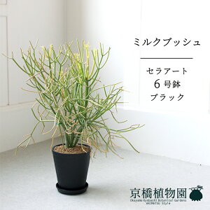 ySSN[|zySSiz~NubV(X)@6iZA[gjy~hTCY/CeA/j/JXj/zj/Vzj/Mtg/v[g/Ă₷/ϗtA/y