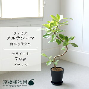 y1P7{IzyZA[g^ubN ztBJXEAeV[}@Ȃ@7y󂯎Mtzy~hTCY ϗtA A u _ CeA  lC zj JX