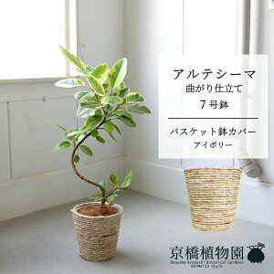 y30P5{IzyoXPbgJo[FAC{[ztBJXEAeV[}@Ȃ@7Ry󂯎Mtzy~hTCY ϗtA A u _ CeA  lC zj