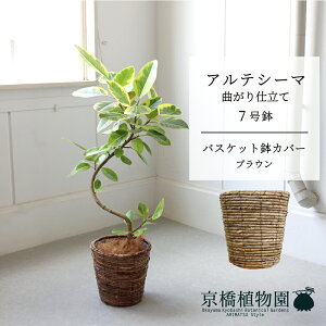 y1P7{IzyoXPbgJo[FuEztBJXEAeV[}@Ȃ@7Ry󂯎Mtzy~hTCY ϗtA A u _ CeA  lC zj 