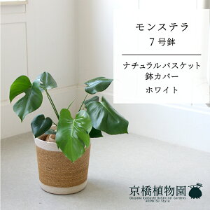 y1P7{zyi`oXPbgJo[FzCgzXe@7y󂯎Mtzy~hTCY/CeA/j/JXj/zj/Vzj/Mtg/v[g/Ă₷/ϗt