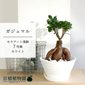 y30P5{Izy}\N[|LzKW}@7@ZA[gy~hTCY/CeA/j/JXj/zj/Vzj/Mtg/v[g/Ă₷/ϗtA/yV/ʔ